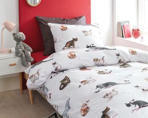 Kids - Tiere