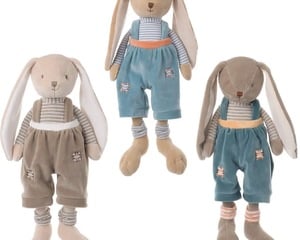 Hase - Bunny