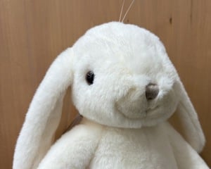 Hase Lovely